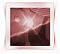 Matthew Pelham's Avatar