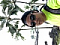 Kenny Arakaki's Avatar